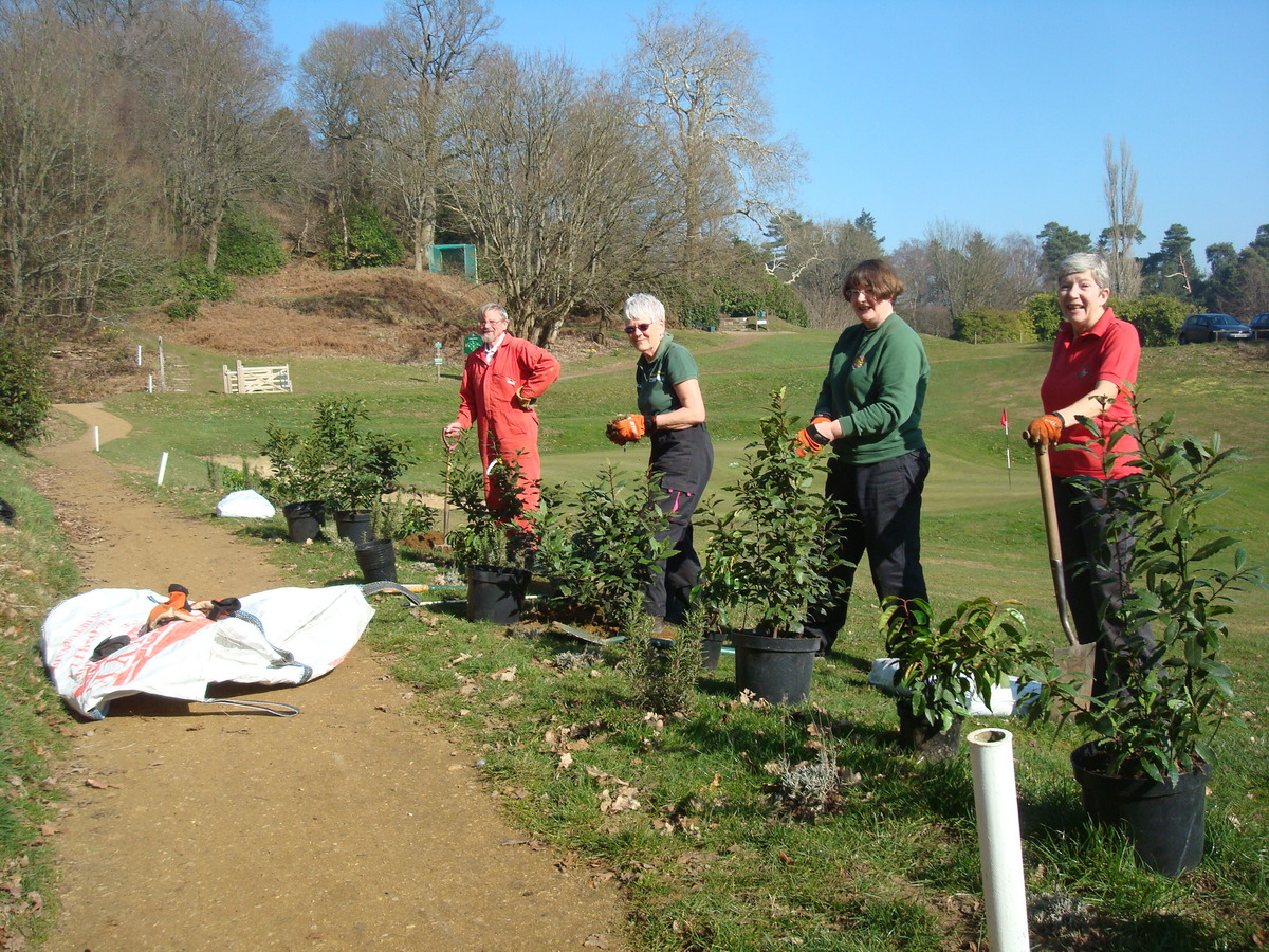 Planting  - some of the team